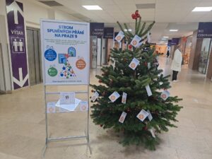 Strom splněných přání